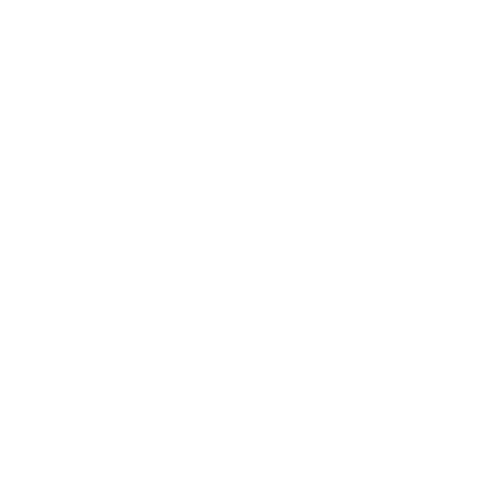 logo- de finrun